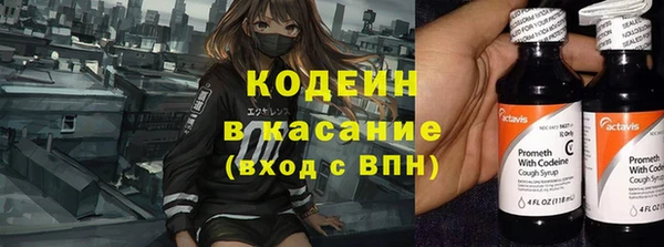 PSILOCYBIN Заводоуковск