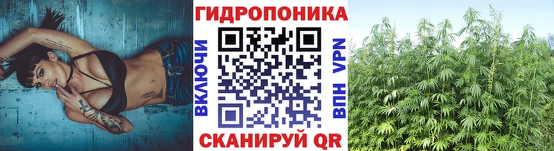 Каннабис THC 21%  omg рабочий сайт  Свирск 